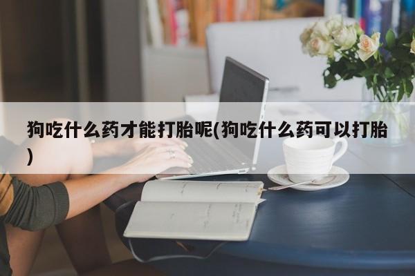 私人打胎药微信，狗吃什么药才能打胎呢(狗吃什么药可以打胎)