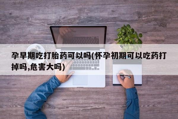 私人打胎药微信，孕早期吃打胎药可以吗(怀孕初期可以吃药打掉吗,危害大吗)